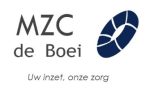 logo boei